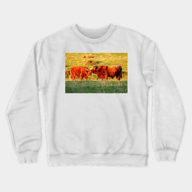 Highland Fling Crewneck Sweatshirt by Jane Braat